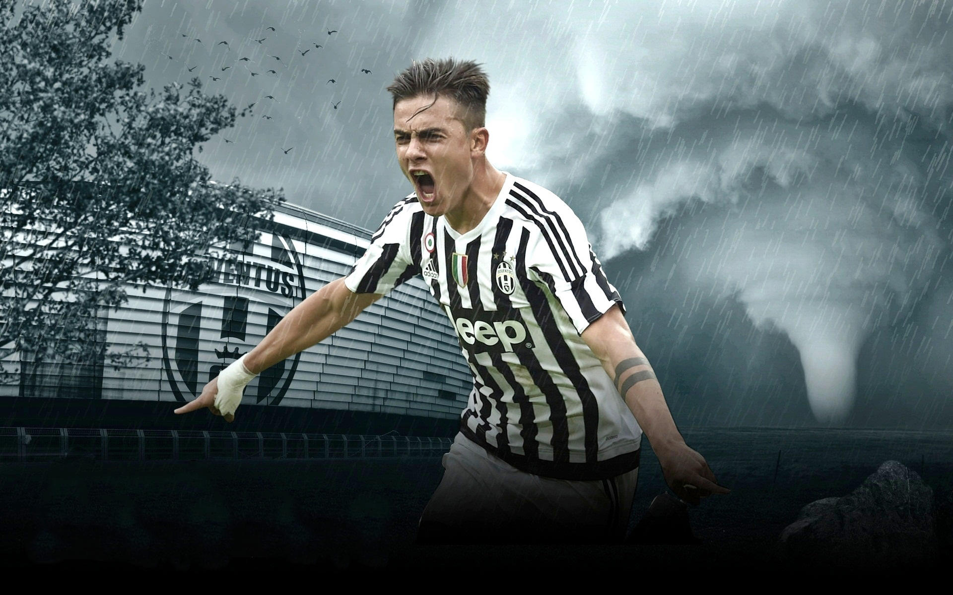 巴西女排公布新名单，中国女排遇劲敌，分组决定晋级之路（巴西女排发布新阵容，中国女排迎强敌，分组形势或成晋级关键）