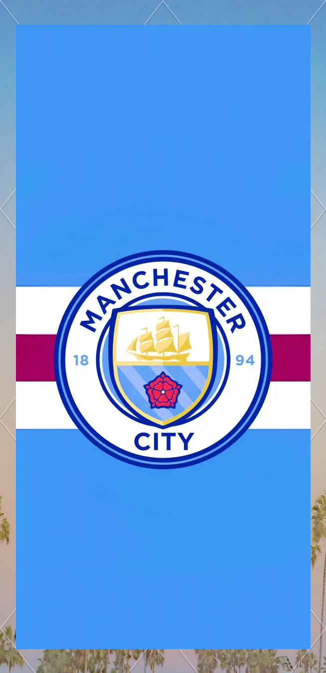 法布雷加斯：没人能像我们这样压迫那不勒斯，我们本应该取胜（法布雷加斯：没有球队能像我们这样压制那不勒斯，这场本该赢）