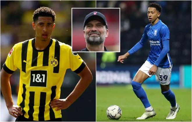 6金传奇+国际封神，樊振东凭啥成国球破局关键？（从六金到国际封神，樊振东何以成为国乒破局之钥？）