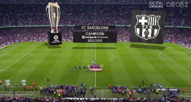 袁甲：成都个别球迷对阿奇姆彭种族歧视的行为必须严惩